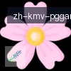 PG模拟器 logo
